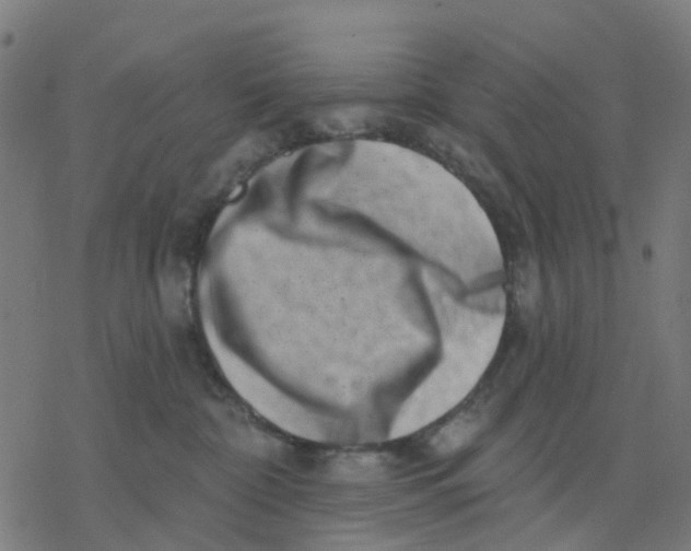 X0000077310332200611101439