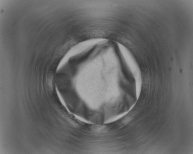 X0000077310334200611101439