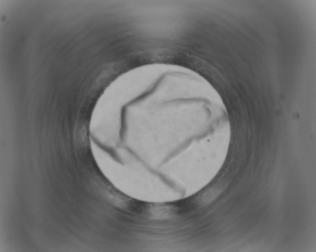 X0000077310336200611101439