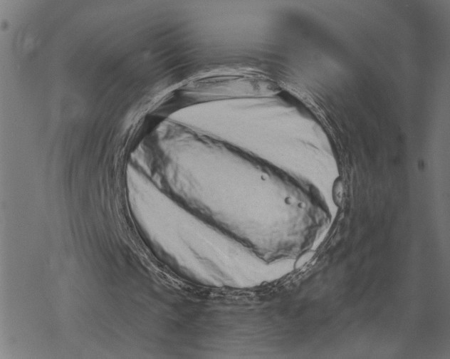 X0000077310337200611101438