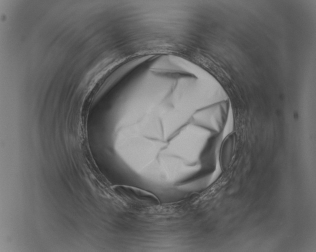 X0000077310338200611101438