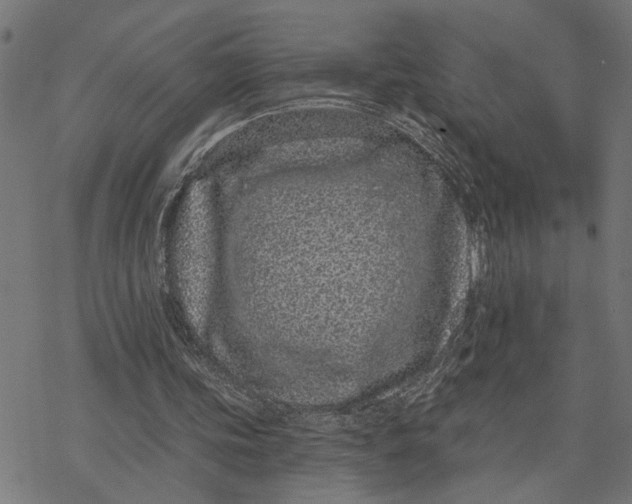 X0000077310339200611101438