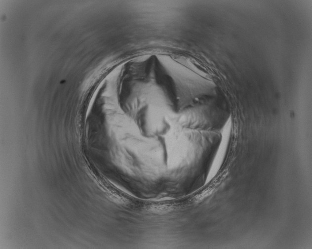 X0000077310341200611101438