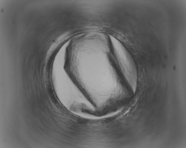 X0000077310343200611101438