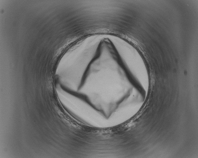 X0000077310345200611101438