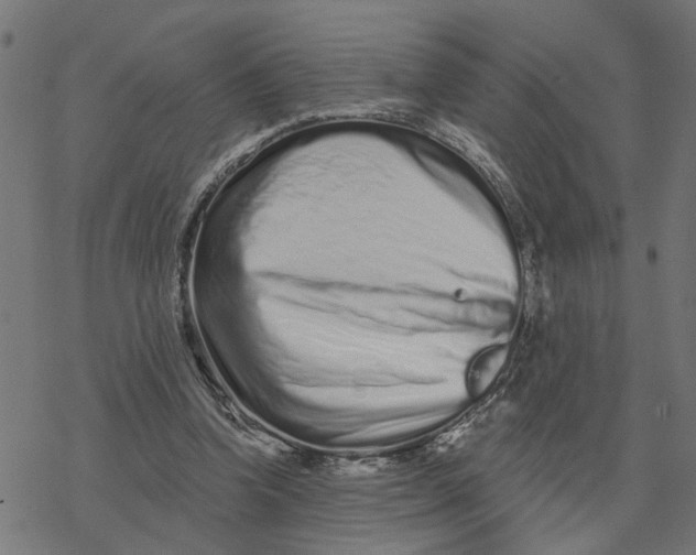 X0000077310346200611101438