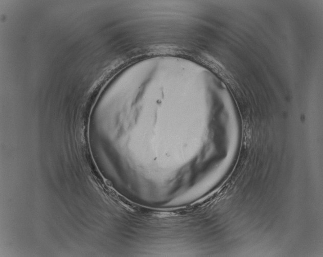 X0000077310347200611101439