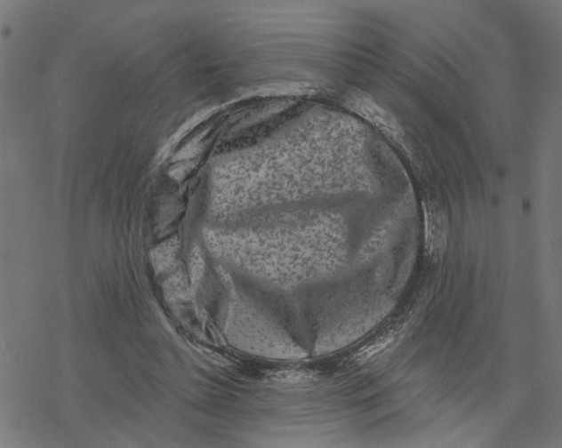 X0000077310348200611101439
