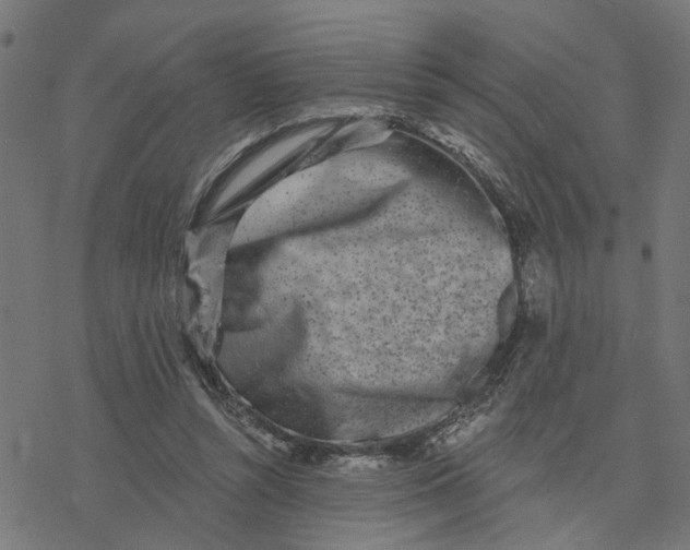 X0000077310352200611101439