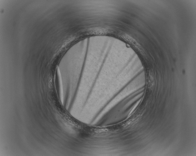 X0000077310355200611101439