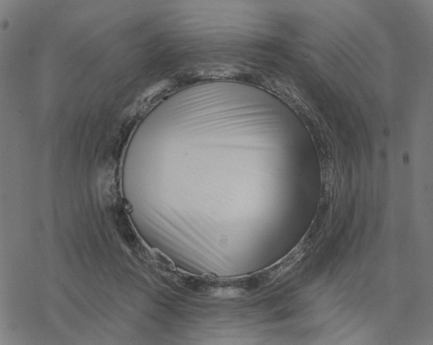 X0000077310360200611101439