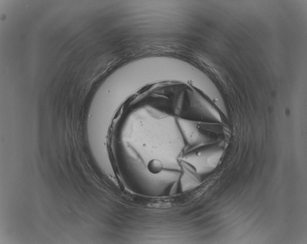 X0000077310362200611101439