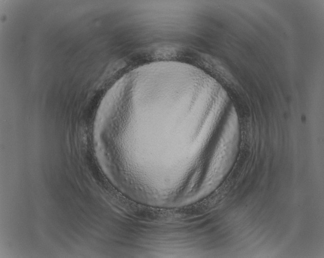X0000077310363200611101439