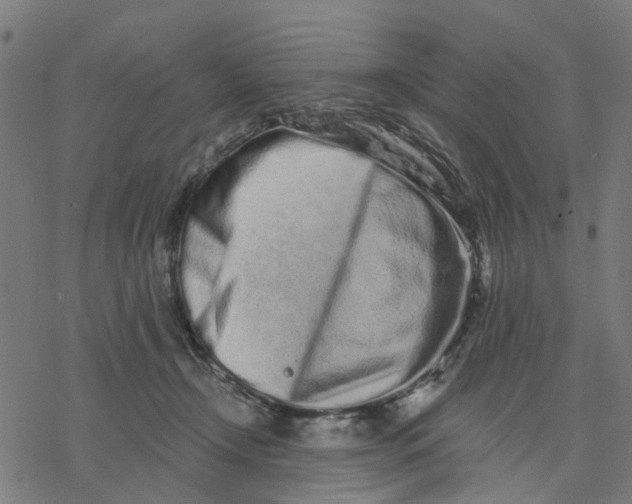 X0000077310366200611101439