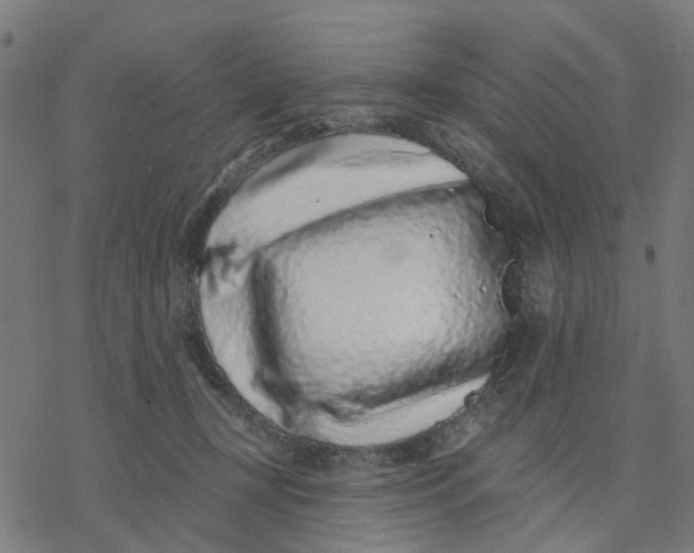 X0000077310367200611101439