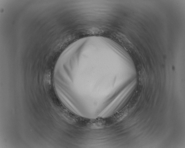 X0000077310368200611101439