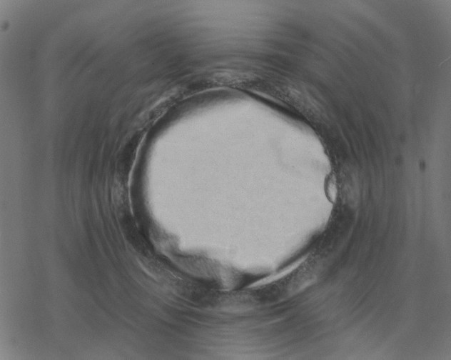 X0000077310371200611101439