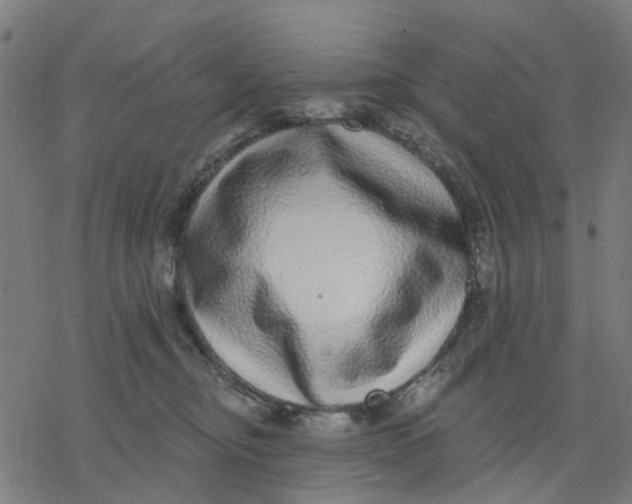 X0000077310374200611101439