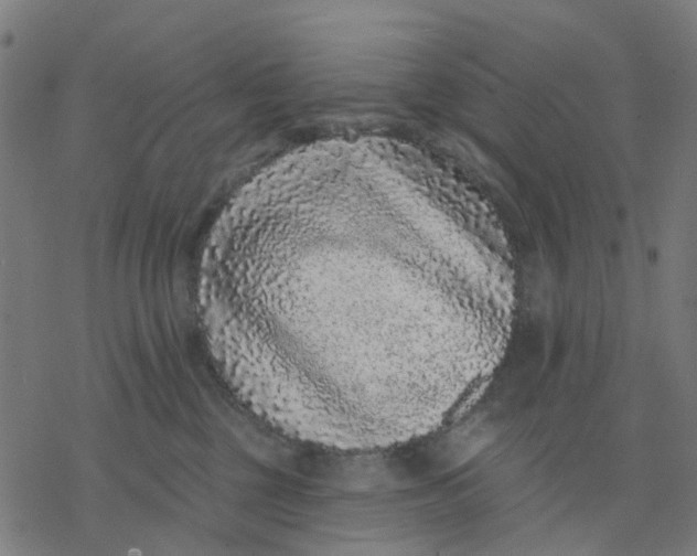 X0000077310377200611101439