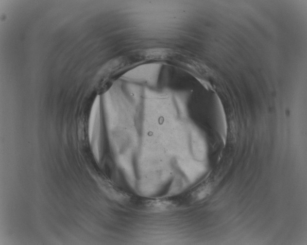 X0000077310379200611101439