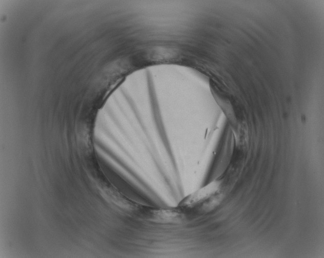 X0000077310380200611101439