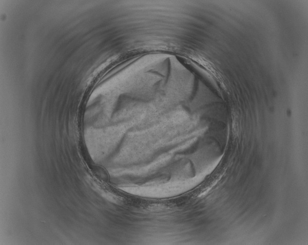 X0000077310390200611101438