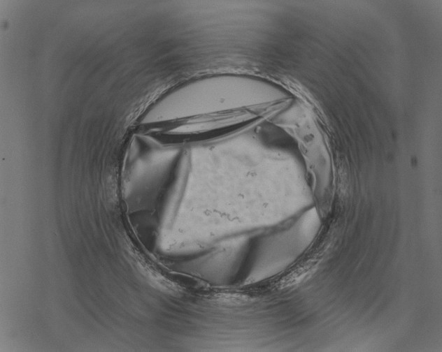 X0000077310393200611101438