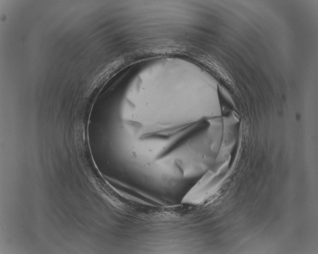 X0000077310397200611101438