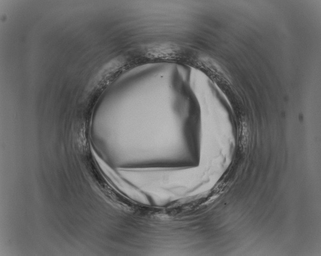 X0000077310408200611101438