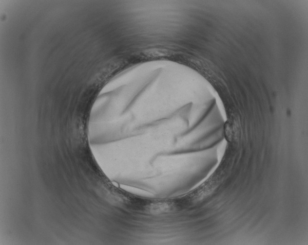 X0000077310418200611101438