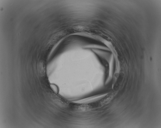 X0000077310420200611101438