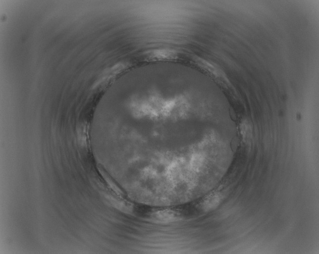 X0000077310423200611101438