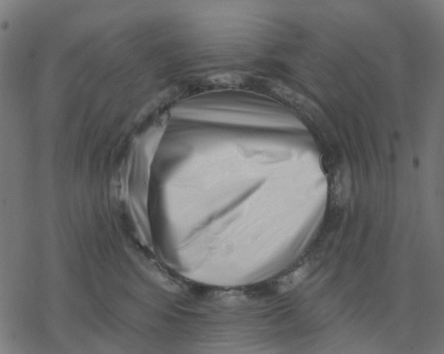X0000077310424200611101438