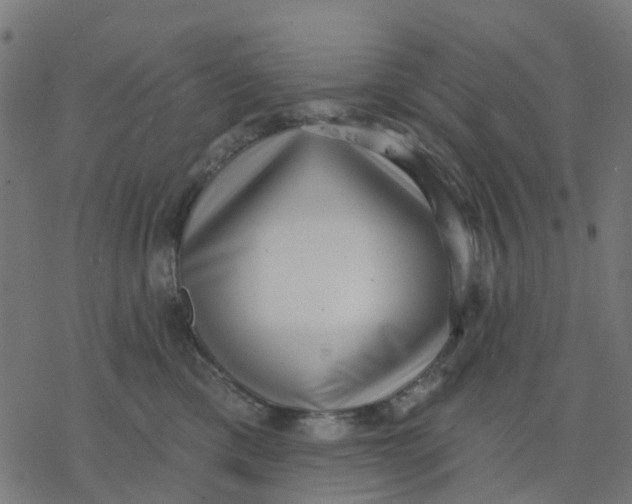 X0000077310425200611101438