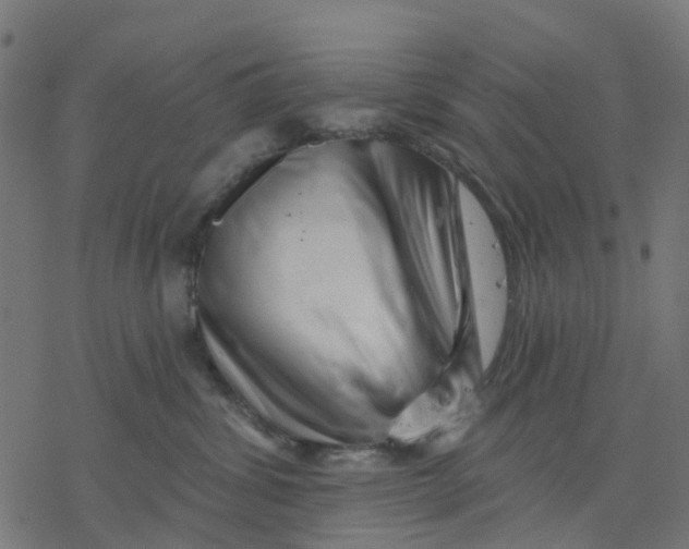 X0000077310428200611101438