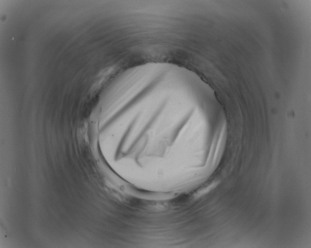 X0000077310432200611101438