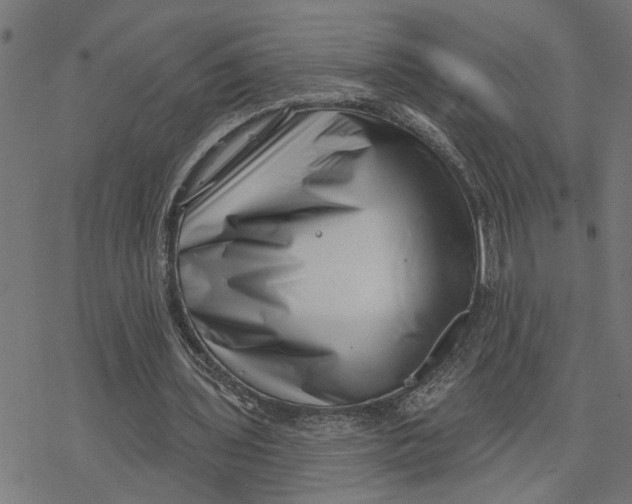X0000077310435200611101437