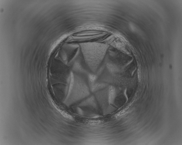 X0000077310438200611101437