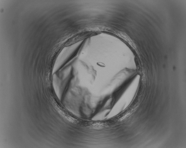 X0000077310441200611101437