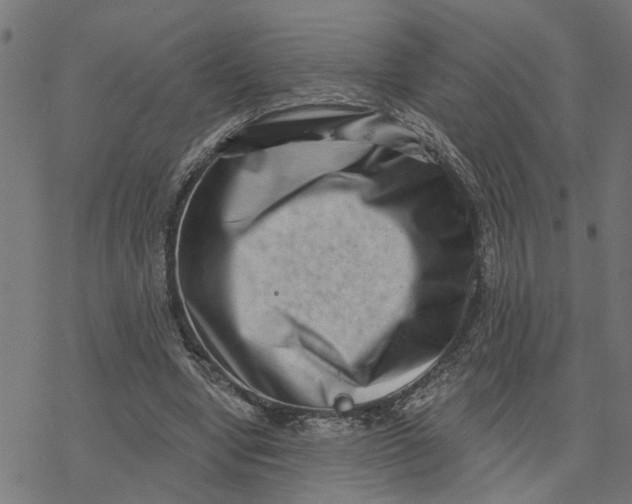 X0000077310442200611101437