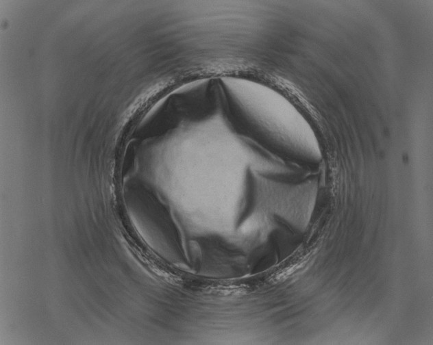 X0000077310443200611101437