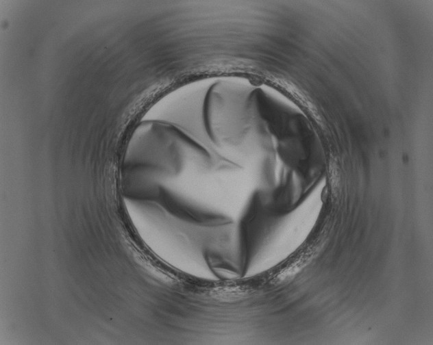 X0000077310445200611101437