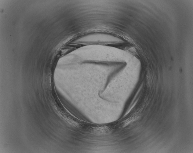 X0000077310446200611101437