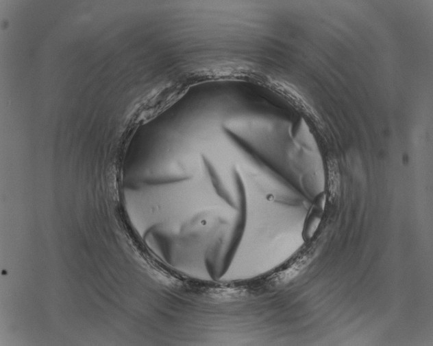 X0000077310453200611101437