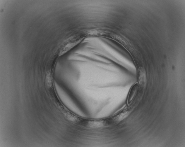 X0000077310469200611101437