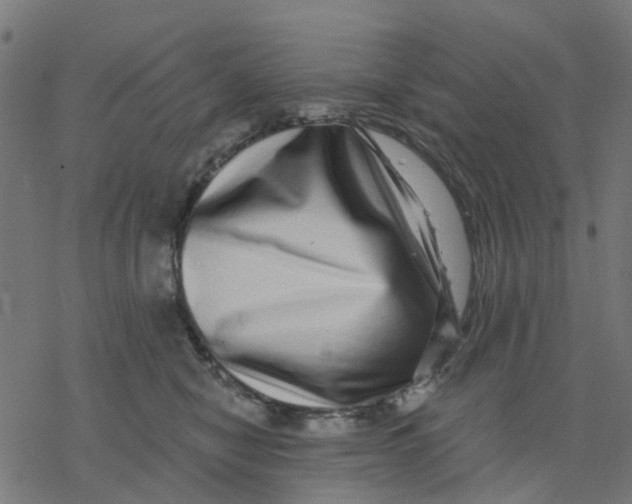 X0000077310470200611101437