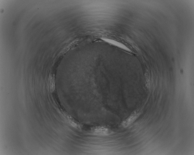 X0000077310471200611101437