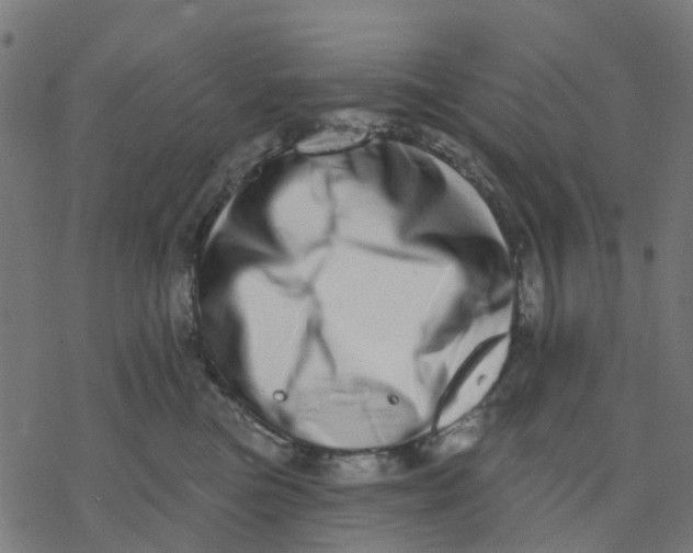 X0000077310473200611101437