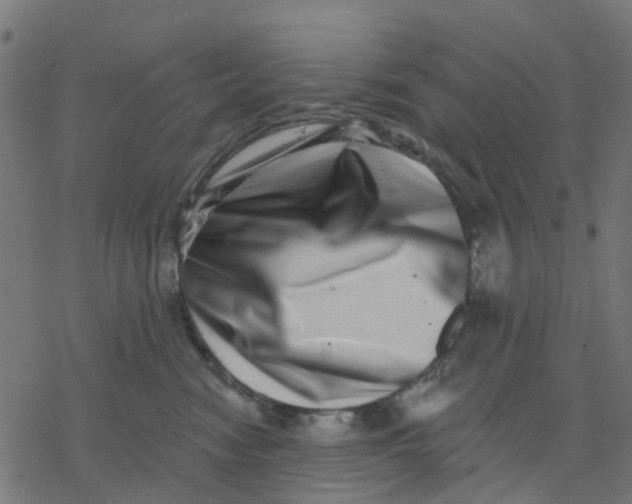 X0000077310474200611101437