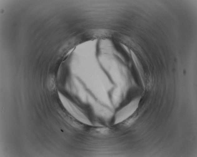 X0000077310478200611101438